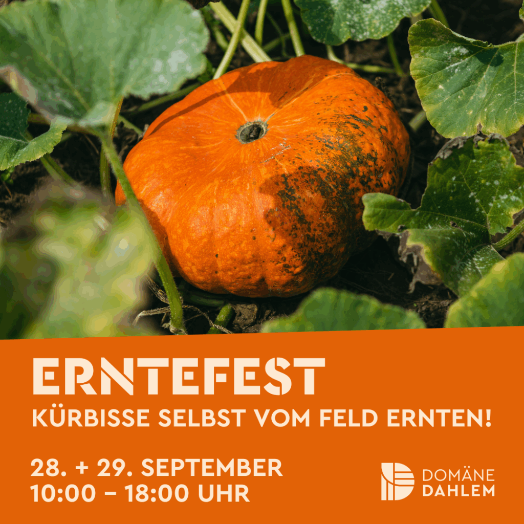 Erntefest-Domäne Dahlem
