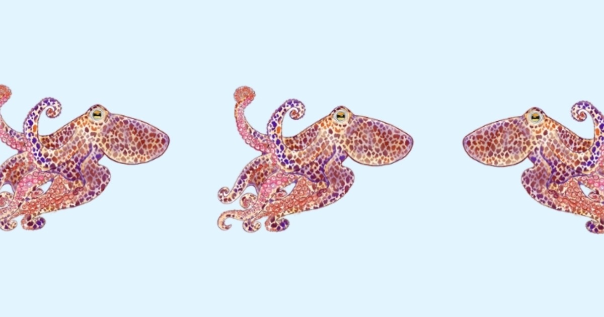 Papierkult Papeterie Lebende Karten Geschenkkarten Puzzles