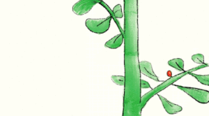 Daumenkino "Metamorphose"