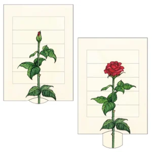 Lebende Karte Rose