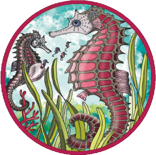 Puzzle Picoli Seepferdchen – Bild 2