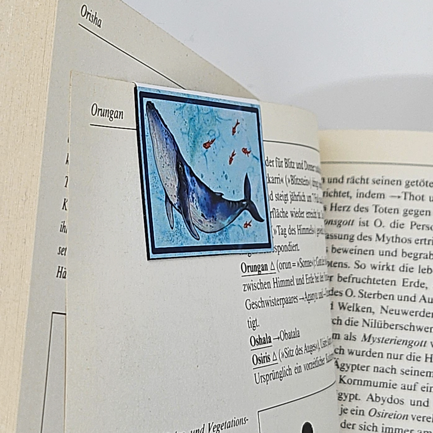 Lesezeichen Blauwal – Bild 5