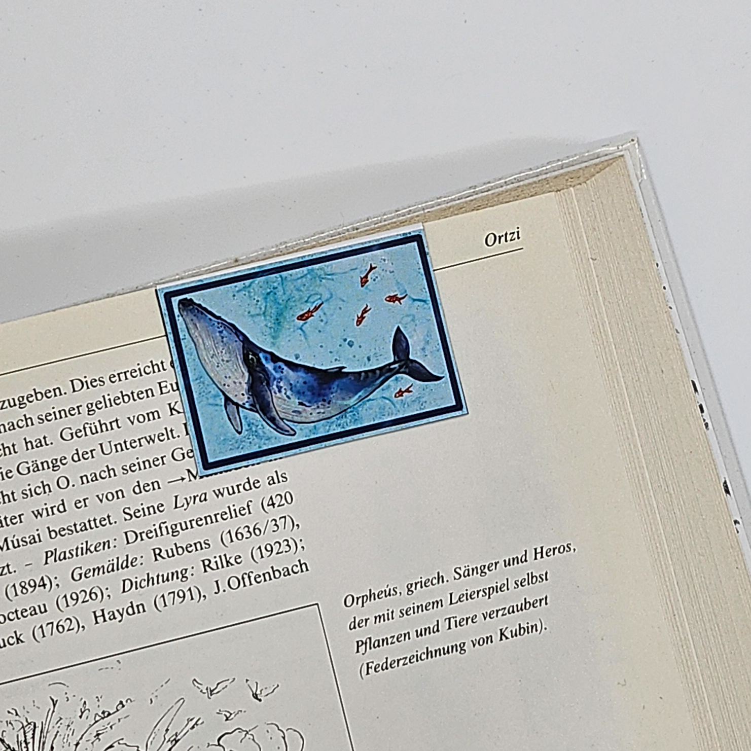 Lesezeichen Blauwal – Bild 3